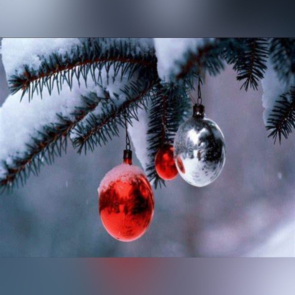 Please Read Please Bundle - Picture 10 of 11